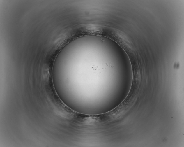 X0000090440320200707201258