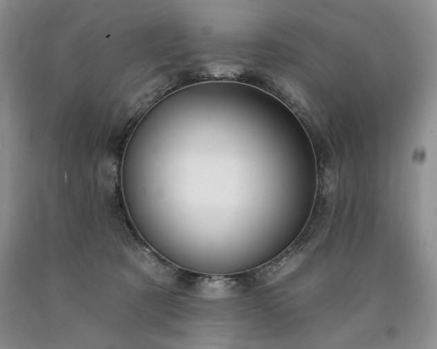 X0000090440321200707201258