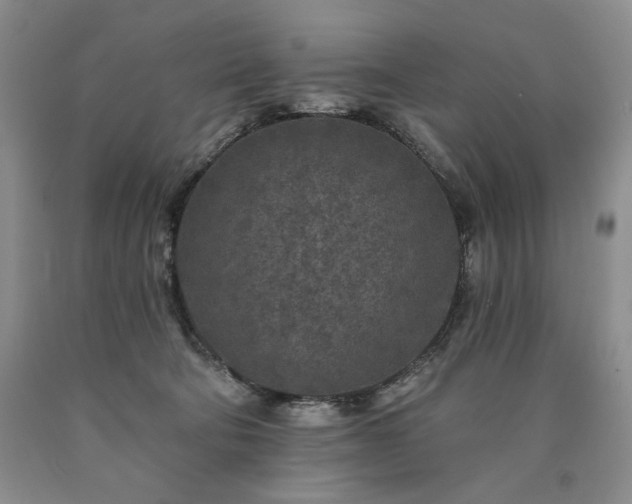 X0000090440322200707201258