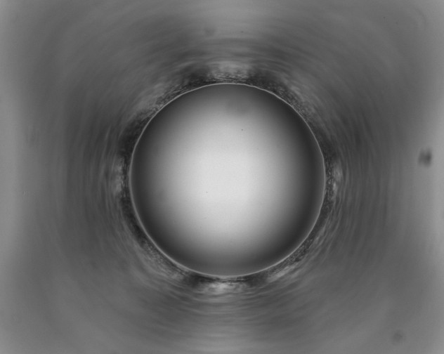 X0000090440323200707201258