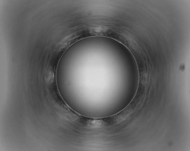 X0000090440324200707201258