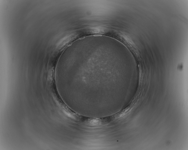 X0000090440325200707201258