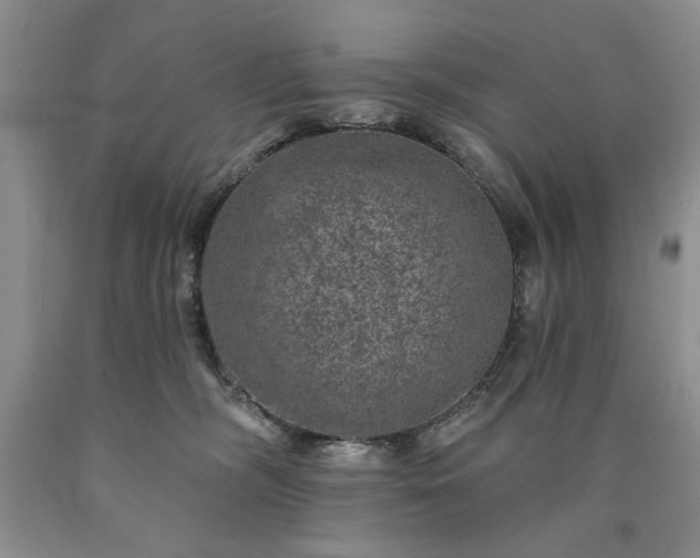 X0000090440326200707201258