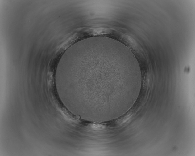 X0000090440327200707201258