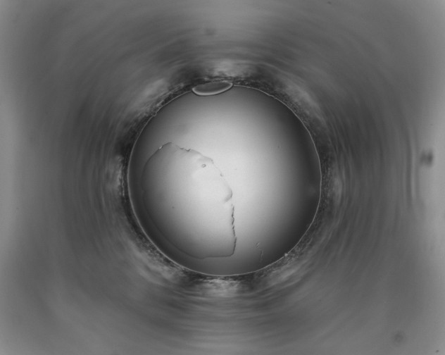 X0000090440328200707201258