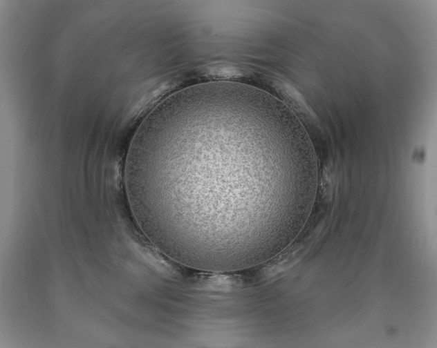 X0000090440330200707201258