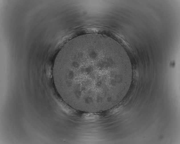 X0000090440331200707201258