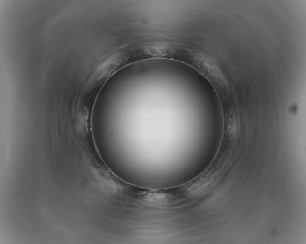 X0000090440332200707201258