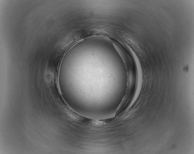 X0000090440333200707201258