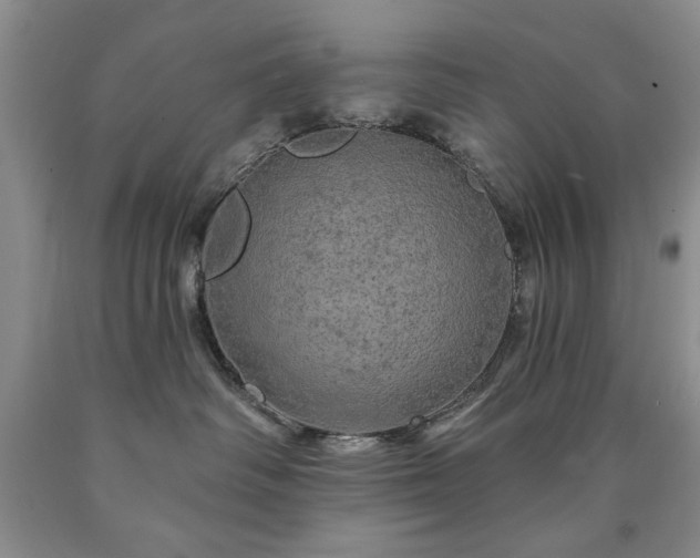 X0000090440334200707201258