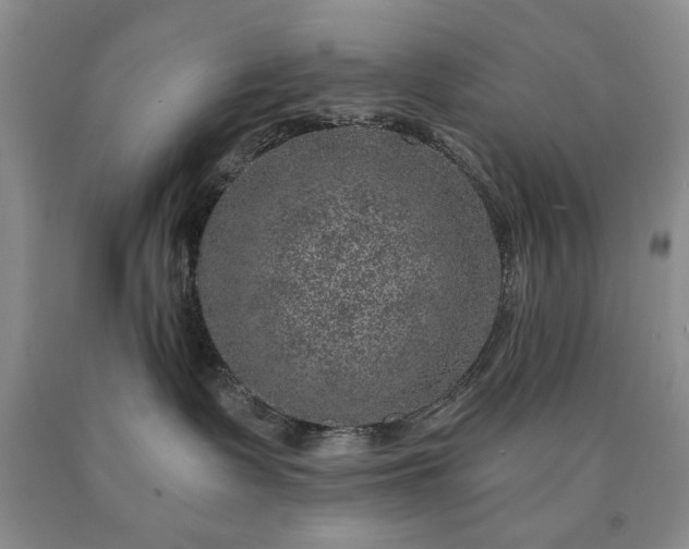 X0000090440335200707201258