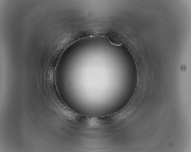 X0000090440336200707201258