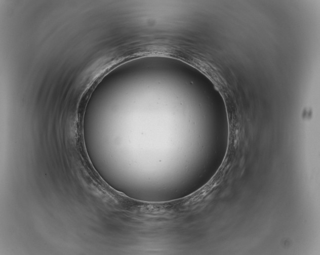 X0000090440338200707201257