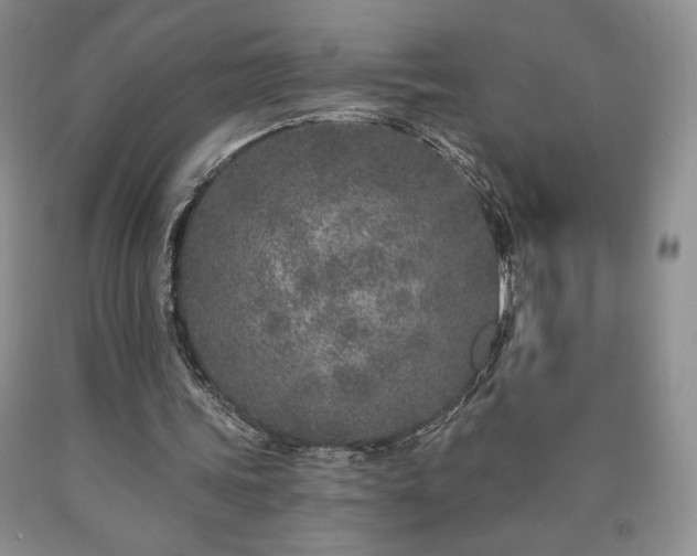 X0000090440339200707201257