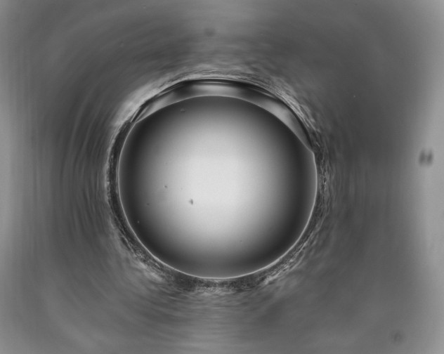 X0000090440340200707201257