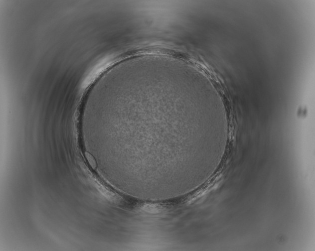 X0000090440341200707201258