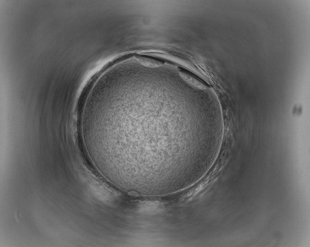 X0000090440342200707201258