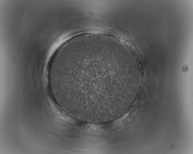 X0000090440343200707201258