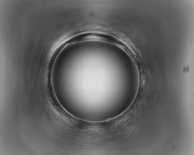 X0000090440344200707201258