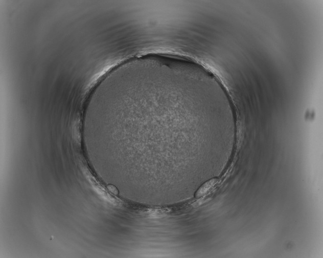 X0000090440345200707201258