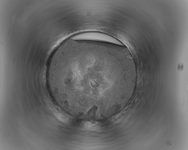 X0000090440346200707201258