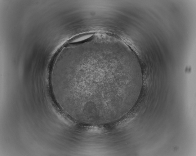 X0000090440347200707201258