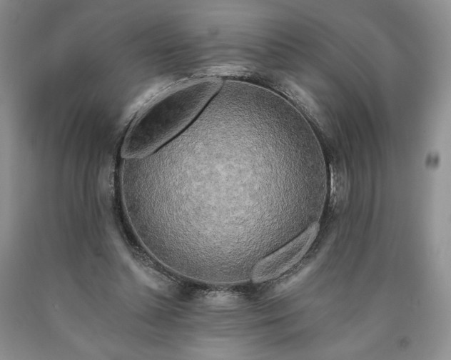 X0000090440348200707201258