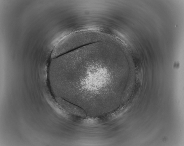 X0000090440350200707201258