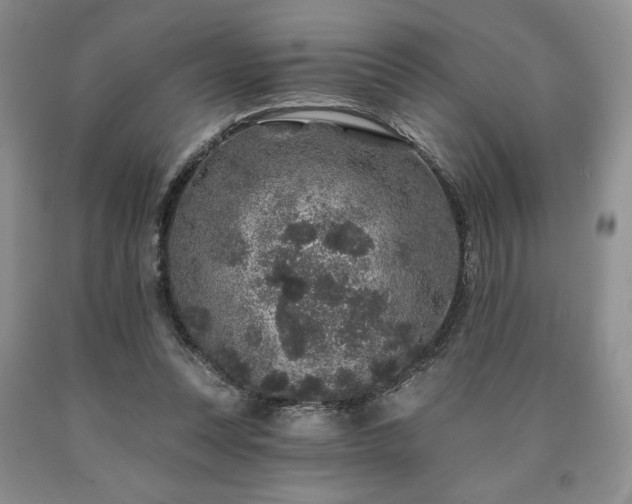 X0000090440351200707201258