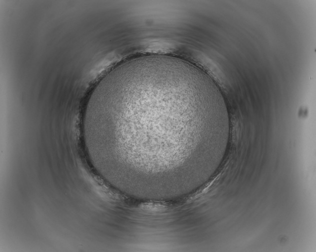 X0000090440354200707201258