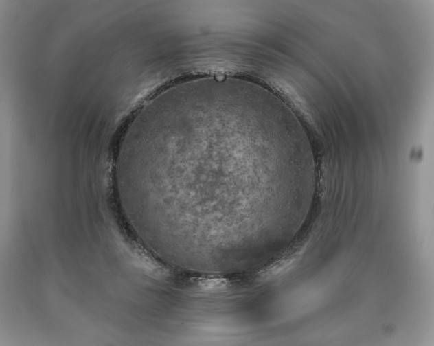 X0000090440355200707201258