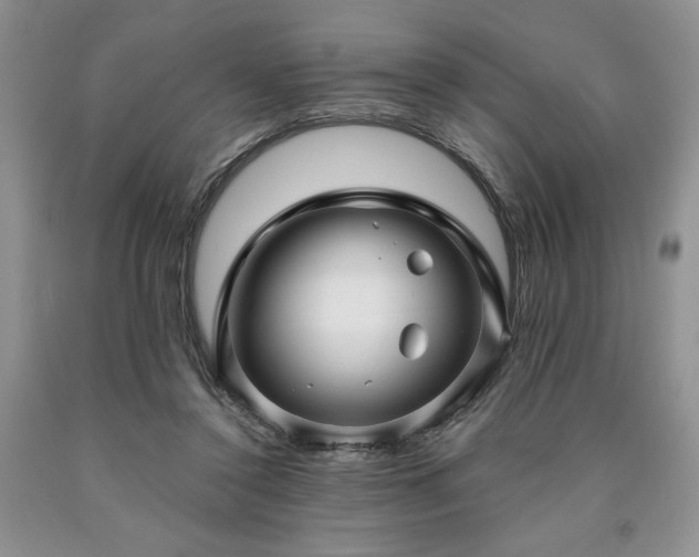 X0000090440356200707201258