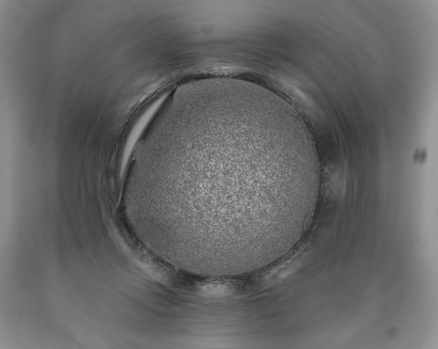 X0000090440358200707201258