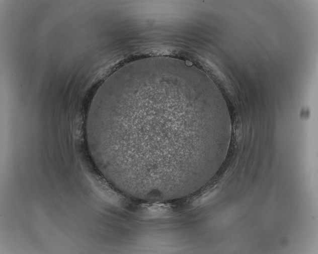 X0000090440359200707201258