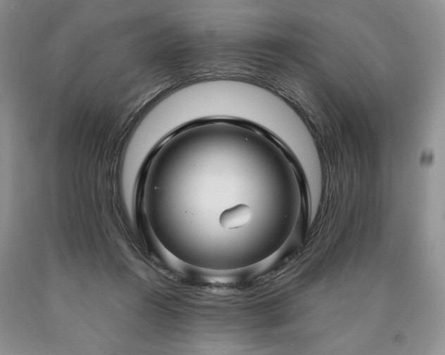 X0000090440360200707201258