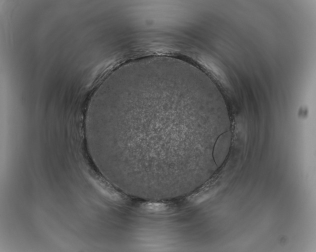 X0000090440361200707201258