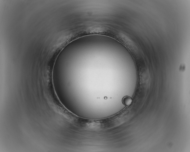 X0000090440362200707201258