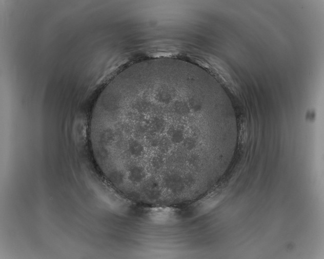 X0000090440363200707201258