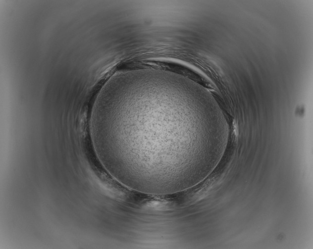 X0000090440364200707201258