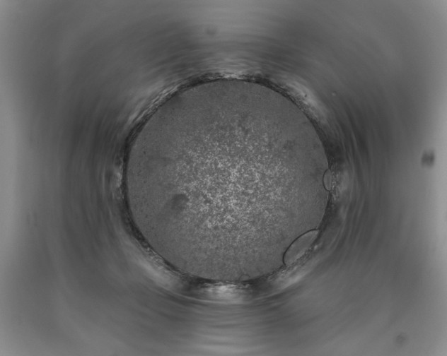 X0000090440365200707201258