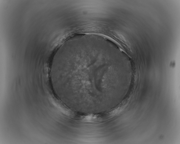 X0000090440366200707201258