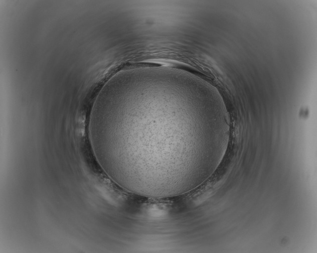 X0000090440368200707201258