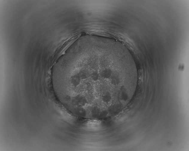 X0000090440369200707201258