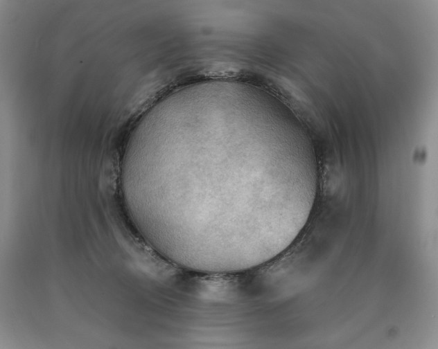 X0000090440370200707201258