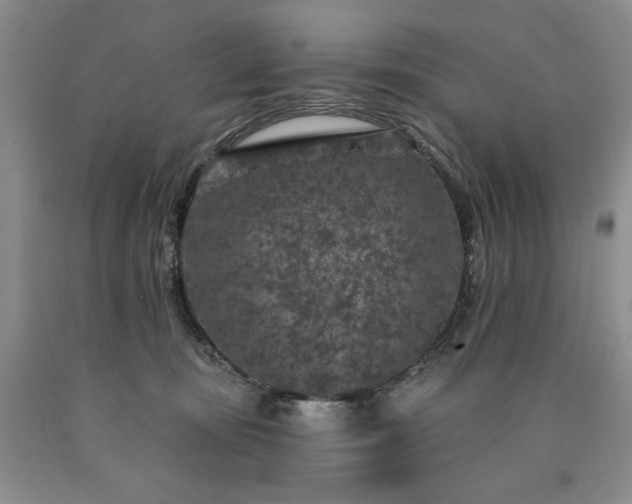 X0000090440371200707201258