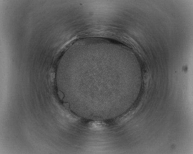 X0000090440372200707201258