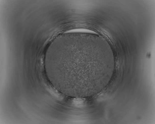 X0000090440373200707201258