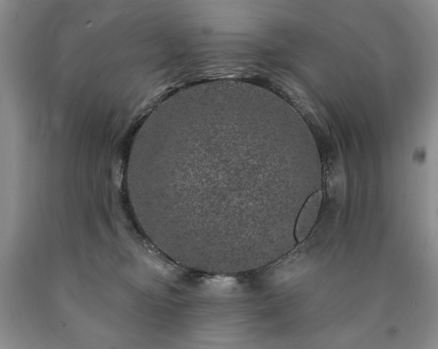 X0000090440374200707201258