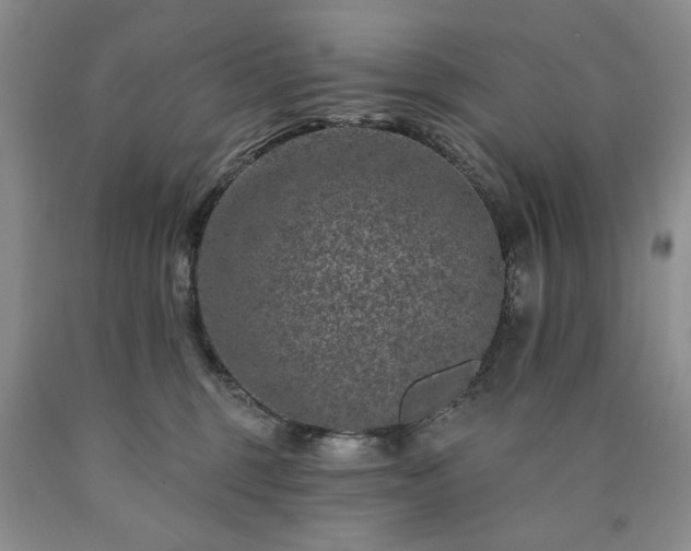 X0000090440375200707201258