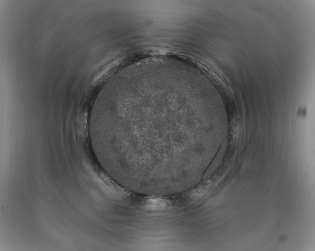 X0000090440376200707201258